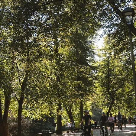 Ivis House - Spacious With Terrace, Old Town