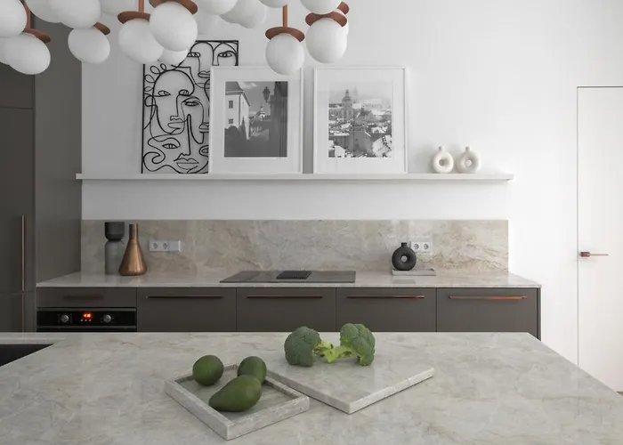 Ivis House - Spacious With Terrace, Old Town * 维尔纽斯