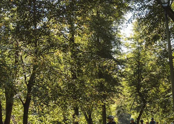 Ivis House - Spacious With Terrace, Old Town