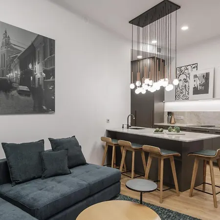 Ivis House - Spacious With Terrace, Old Town 公寓